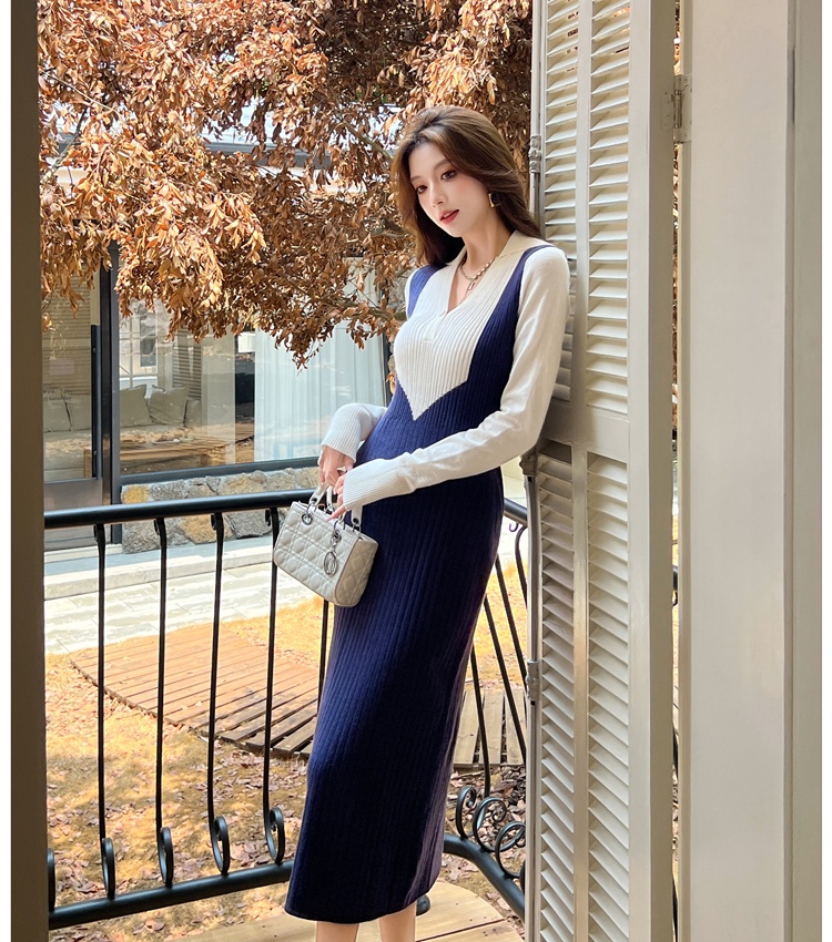 Pinched waist France style bottoming autumn dress for women