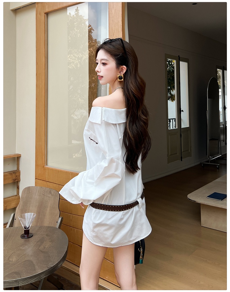 Autumn lazy shirt fashion long sleeve tops for women