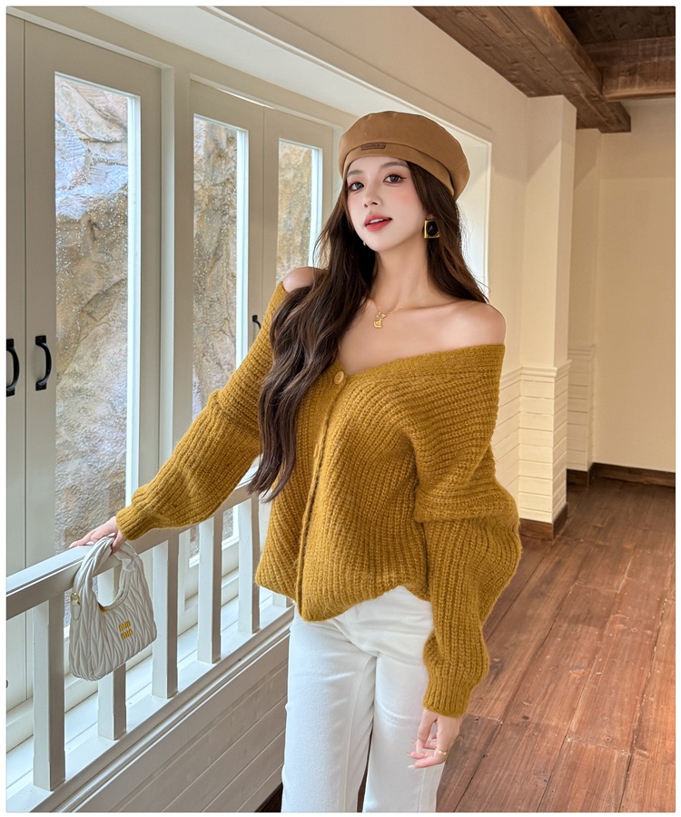 Autumn and winter sweater bat sleeve cardigan for women