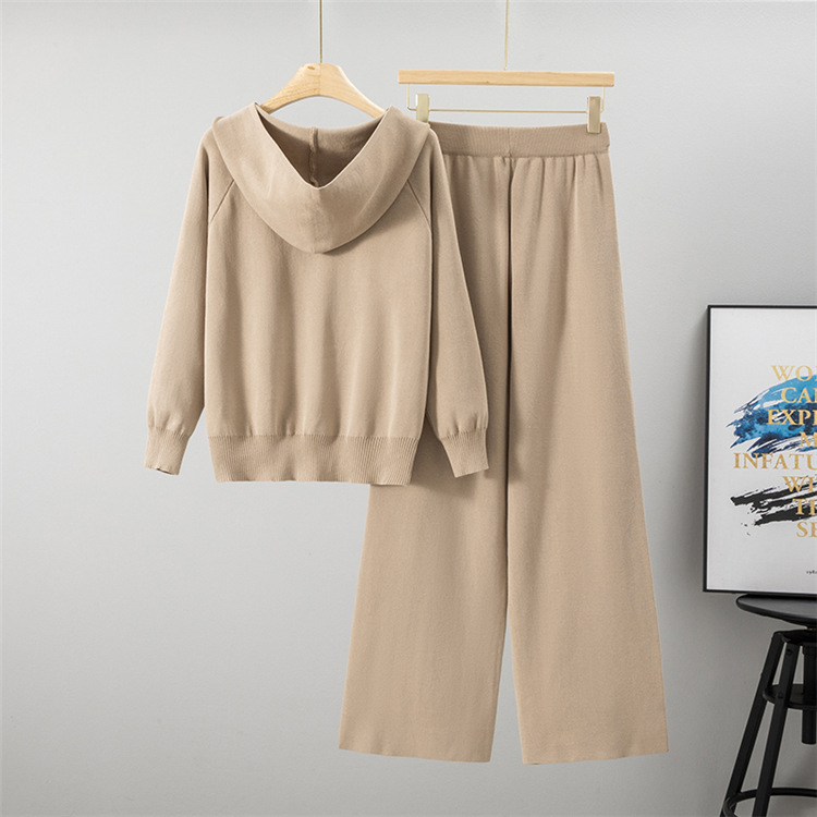 Sweater 2pcs set for women
