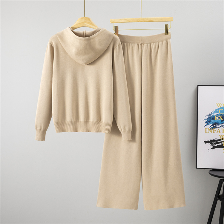 Wide leg pants 2pcs set for women