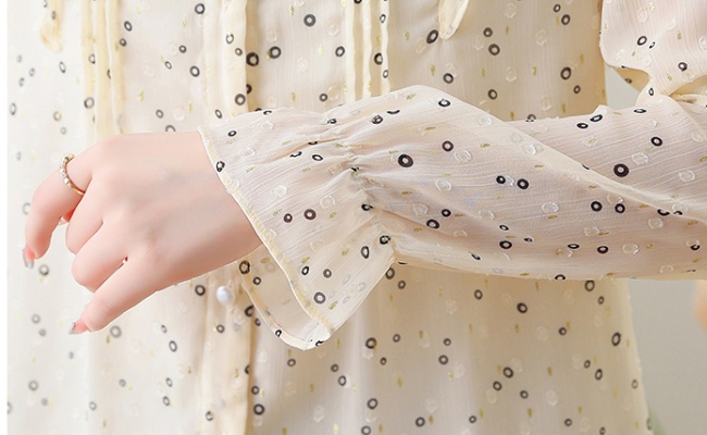 Chiffon show young tops autumn shirt for women