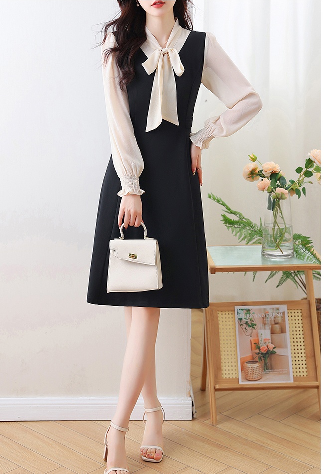 Temperament Pseudo-two profession dress for women