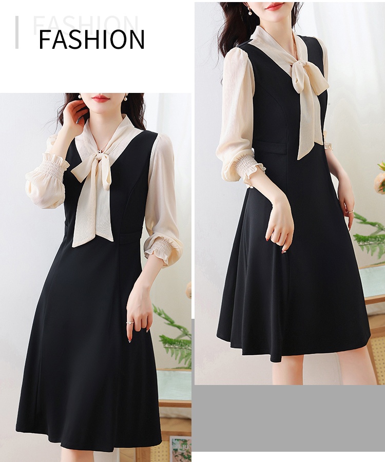 Temperament Pseudo-two profession dress for women