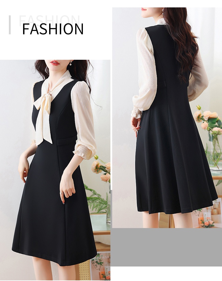 Temperament Pseudo-two profession dress for women