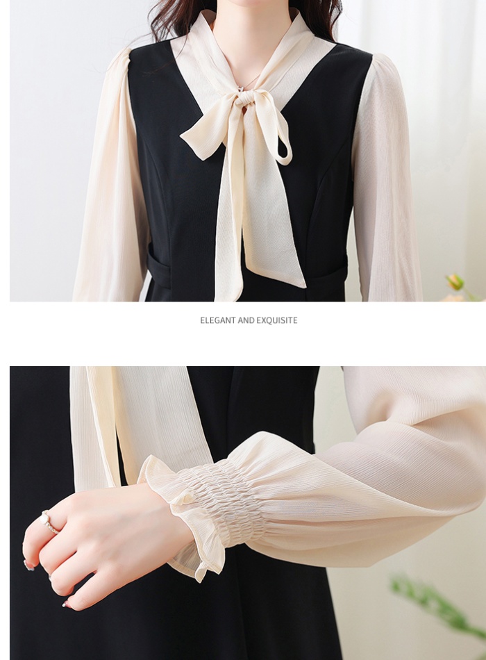 Temperament Pseudo-two profession dress for women