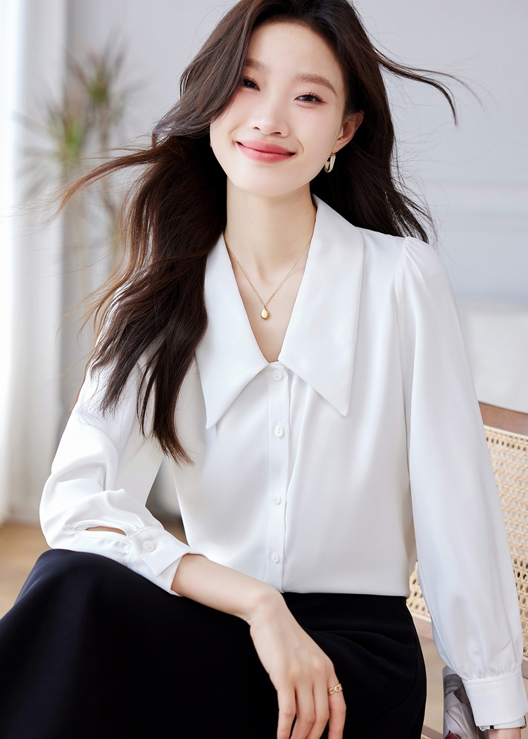 Korean style long sleeve tops autumn shirt for women