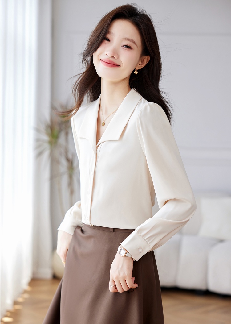 Long sleeve Korean style tops lapel shirt for women