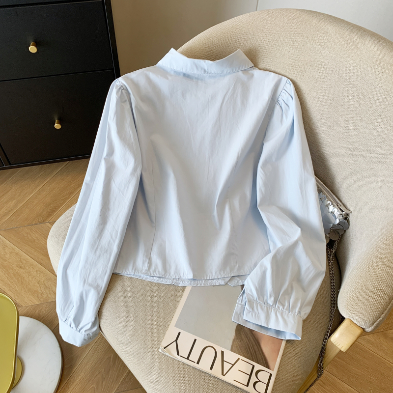 Short embroidery tops college style collar puppy shirt
