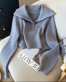Short zip wears outside coat lazy lapel Korean style sweater