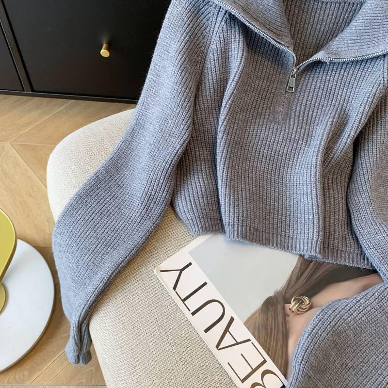 Short zip wears outside coat lazy lapel Korean style sweater