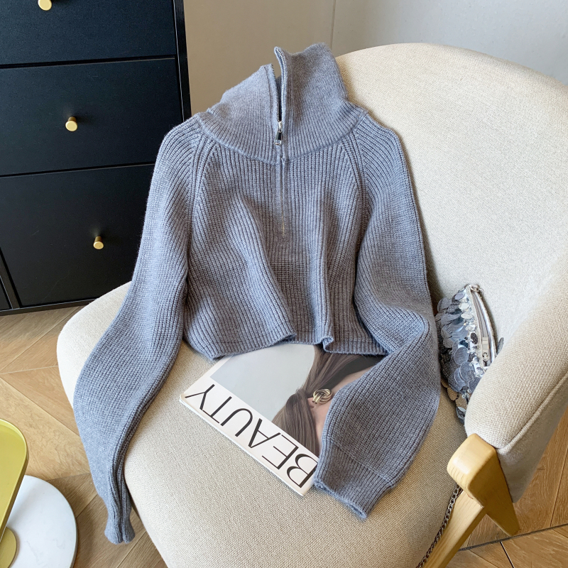 Short zip wears outside coat lazy lapel Korean style sweater