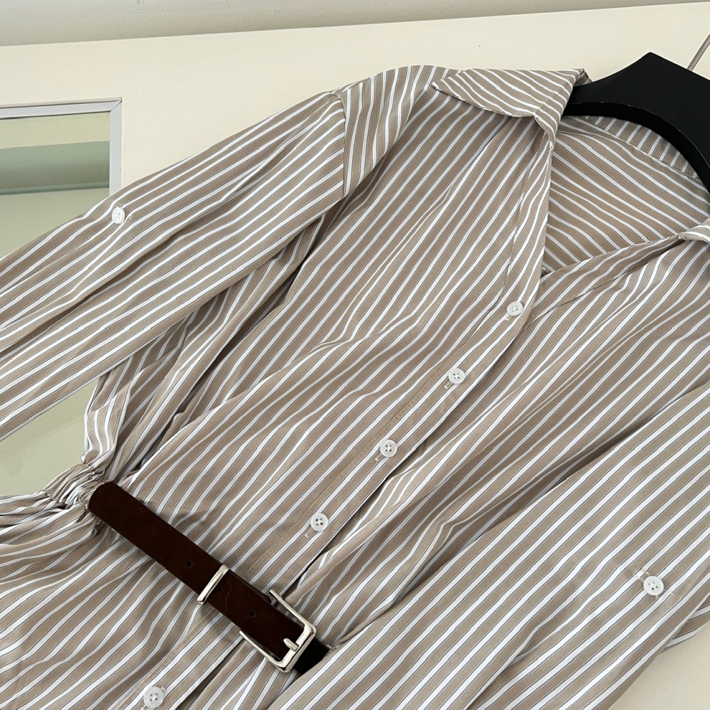 Commuting loose shirt autumn tops for women