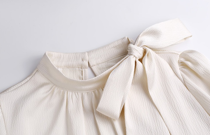 Chiffon long sleeve shirt temperament Korean style tops