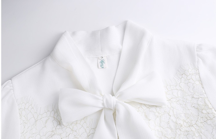 Spring and autumn lace eyelash frenum shirt for women