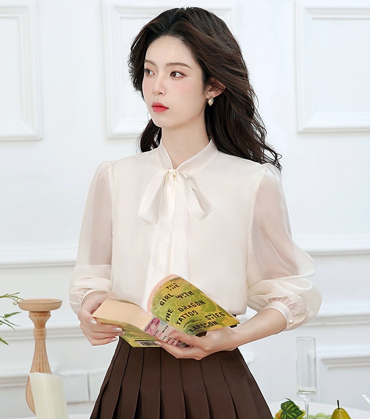 Bow long sleeve shirt spring and autumn organza tops for women