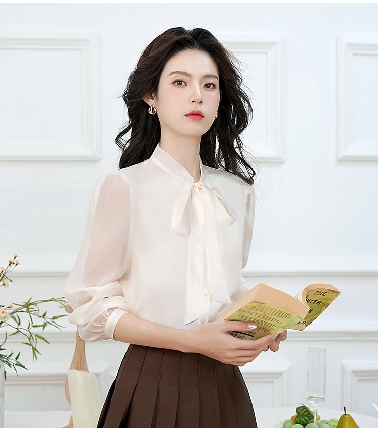Bow long sleeve shirt spring and autumn organza tops for women