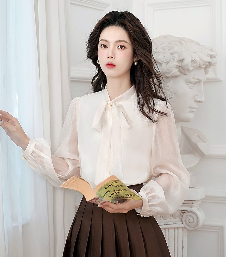 Bow long sleeve shirt spring and autumn organza tops for women
