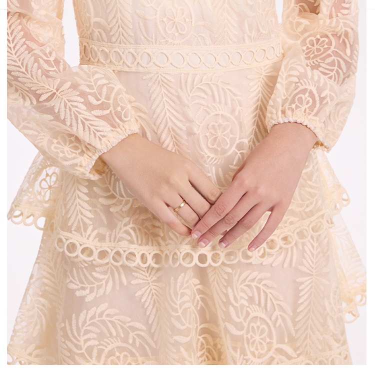 Cake embroidered pinched waist temperament dress