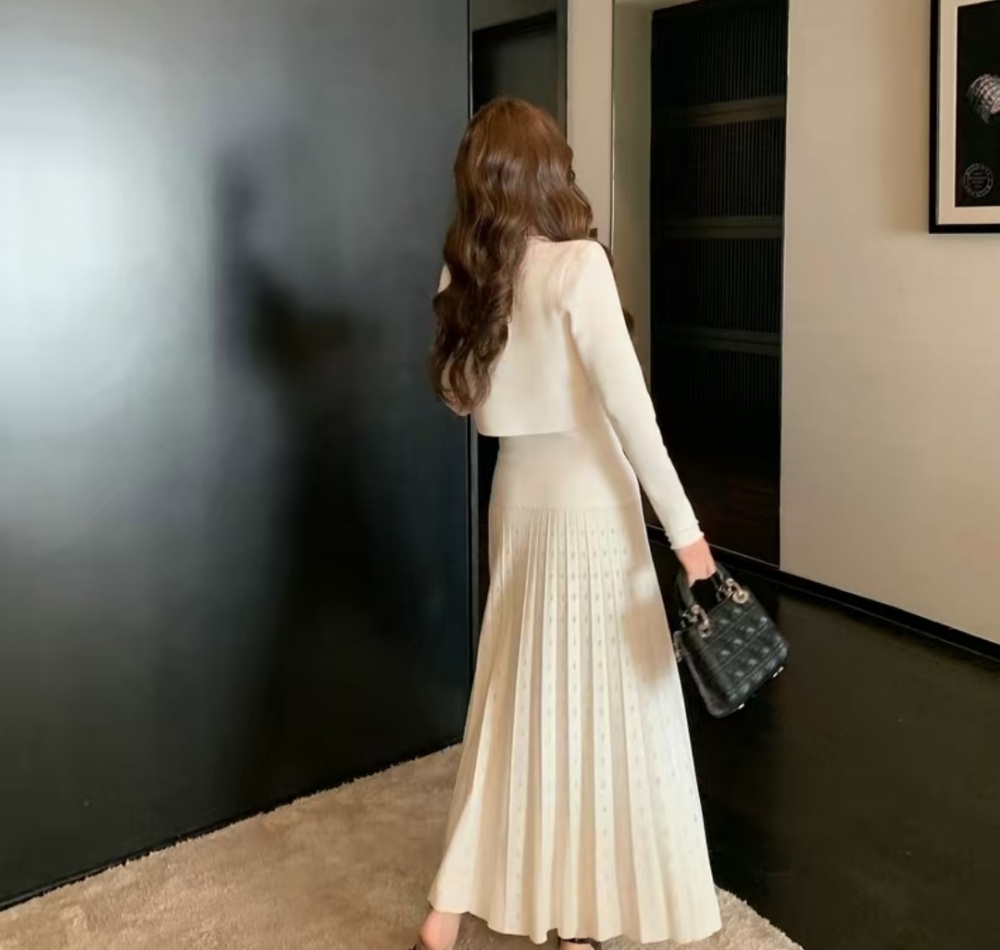 Autumn and winter long dress coat 2pcs set for women