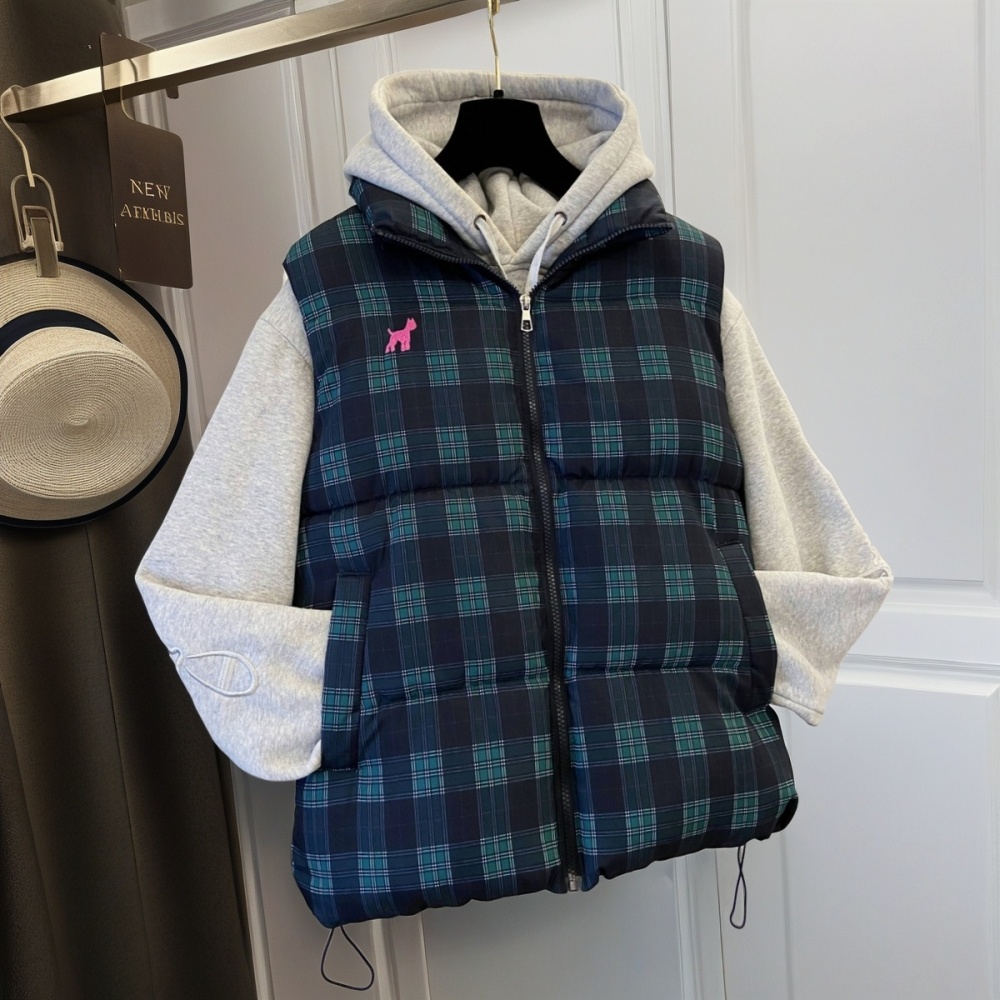 Korean style sleeveless vest loose niche coat for women