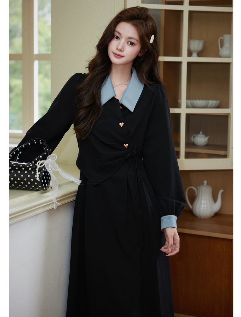 Long sleeve black autumn dress for women