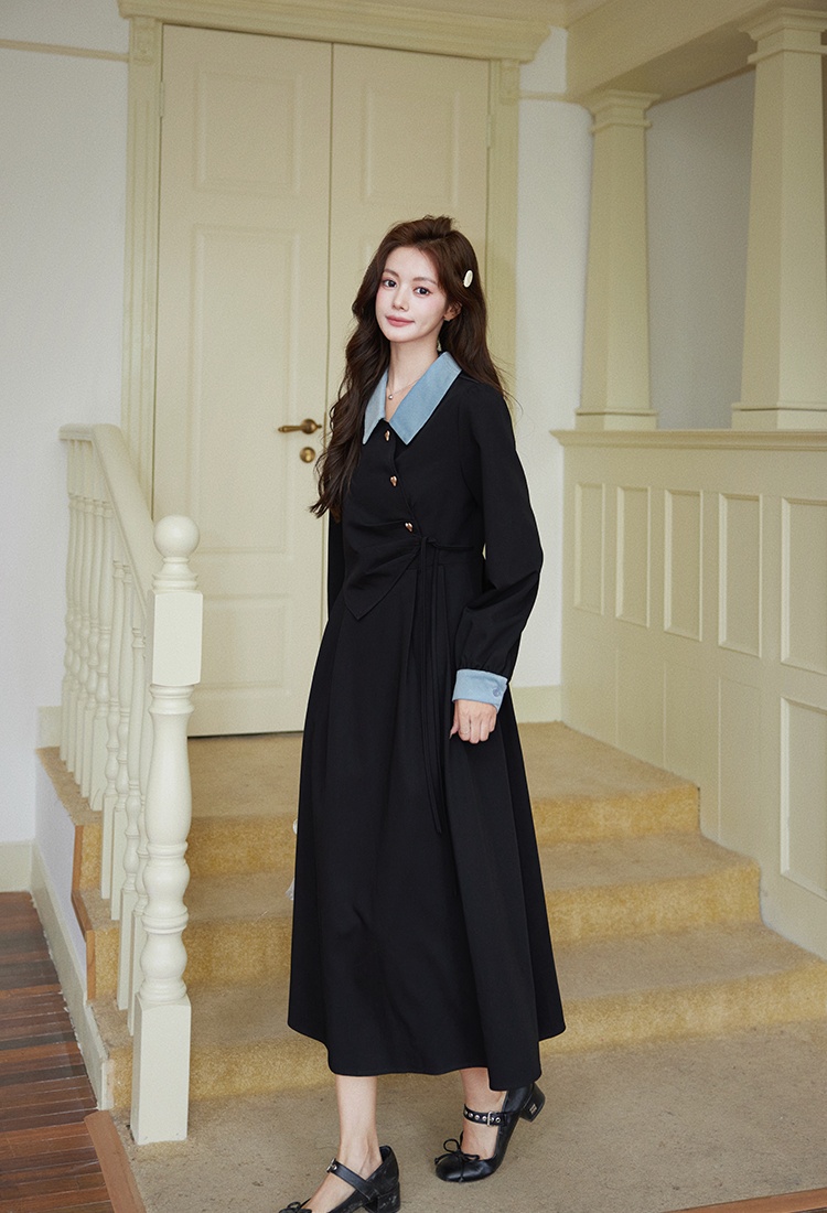 Long sleeve black autumn dress for women