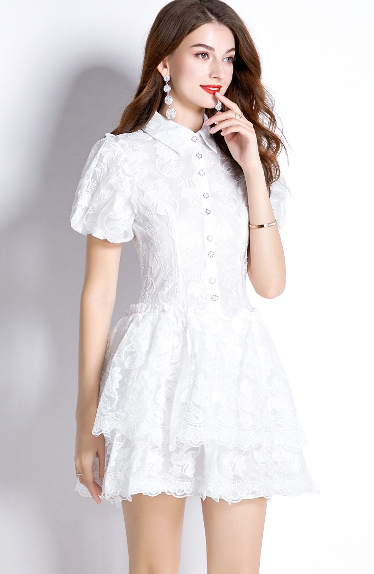 Puff sleeve France style lady dress embroidery dress