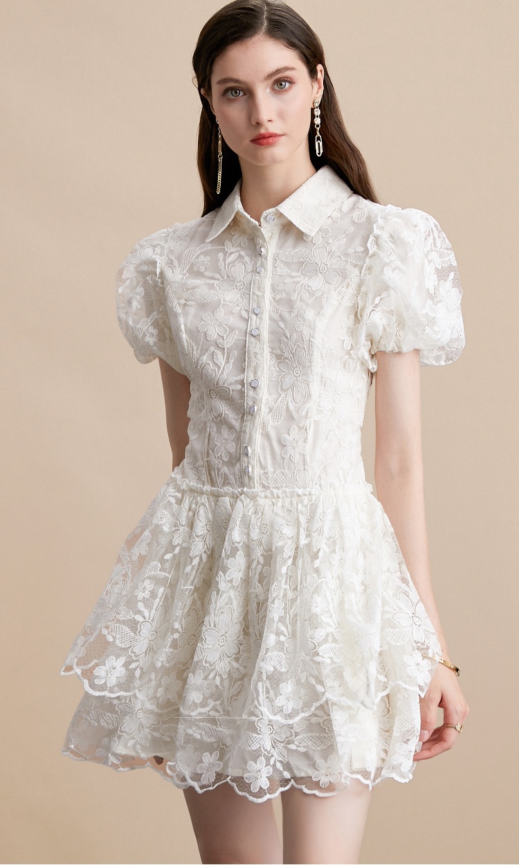 Puff sleeve France style lady dress embroidery dress