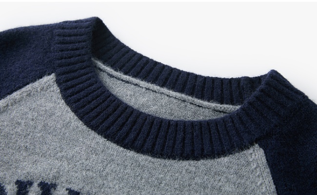 Mixed colors round neck spring jacquard raglan sleeve sweater