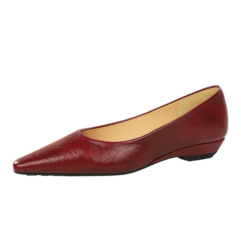 Pointed commuting profession shoes for women