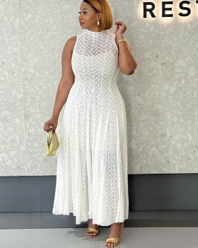 Temperament sleeveless autumn slim lace dress for women