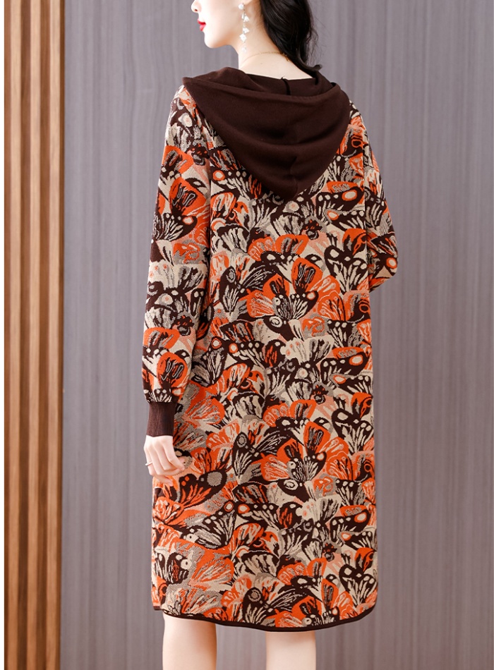 Hooded dress sweater for women