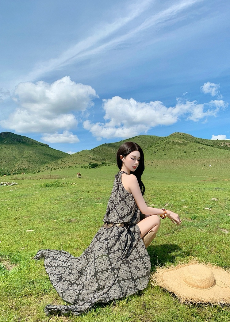 Pinched waist printing dress summer T-back for women