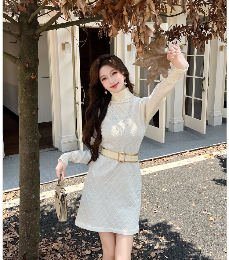 Autumn elegant dress temperament sweater dress for women