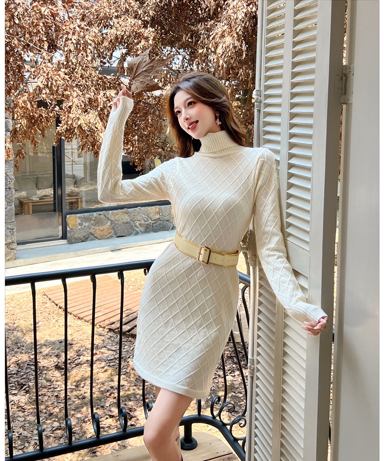 Autumn elegant dress temperament sweater dress for women