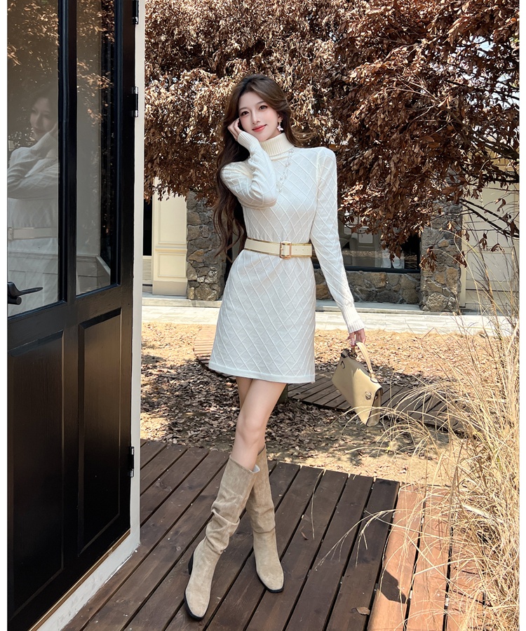 Autumn elegant dress temperament sweater dress for women