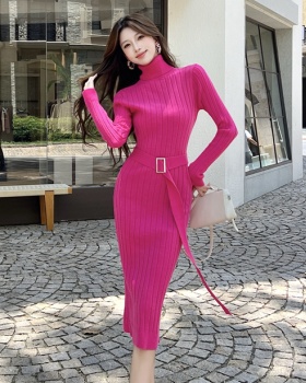 Inside the ride sweater high collar dress for women