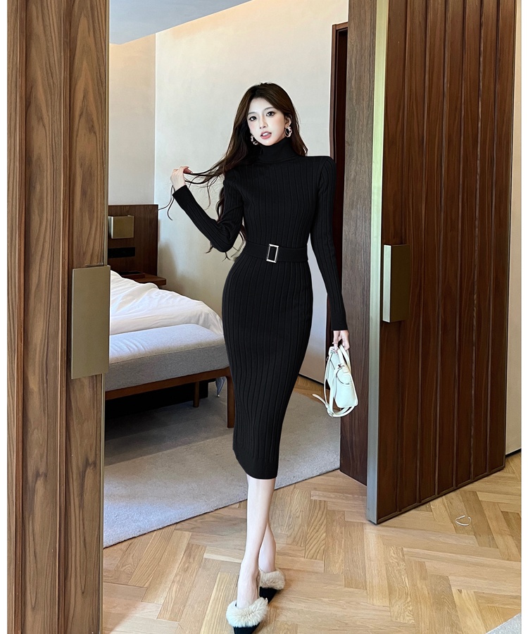 Inside the ride sweater high collar dress for women