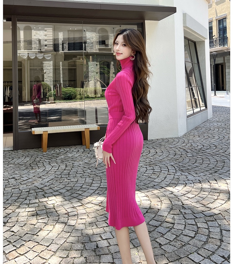 Inside the ride sweater high collar dress for women