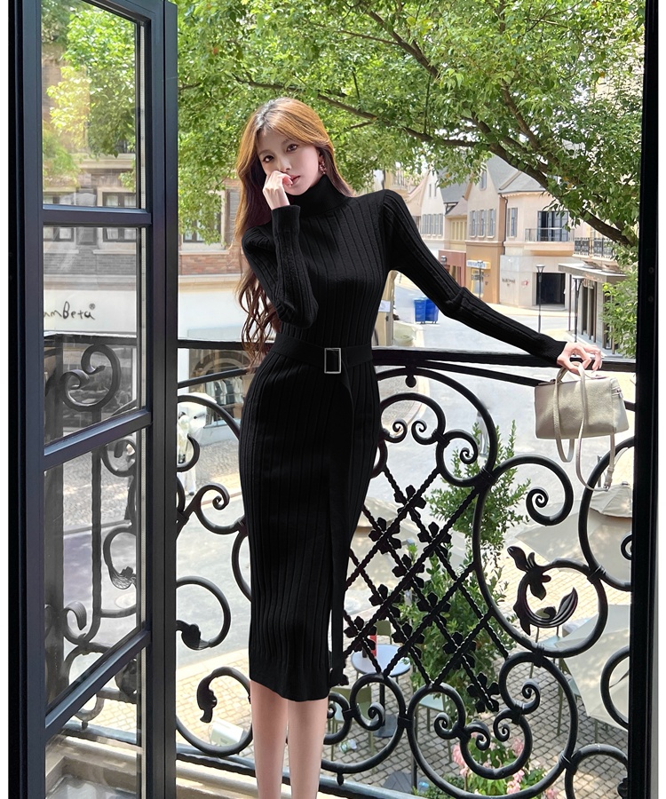 Inside the ride sweater high collar dress for women