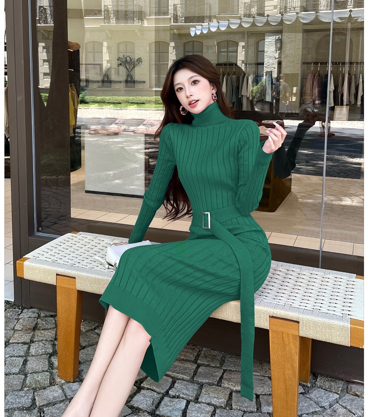 Inside the ride sweater high collar dress for women