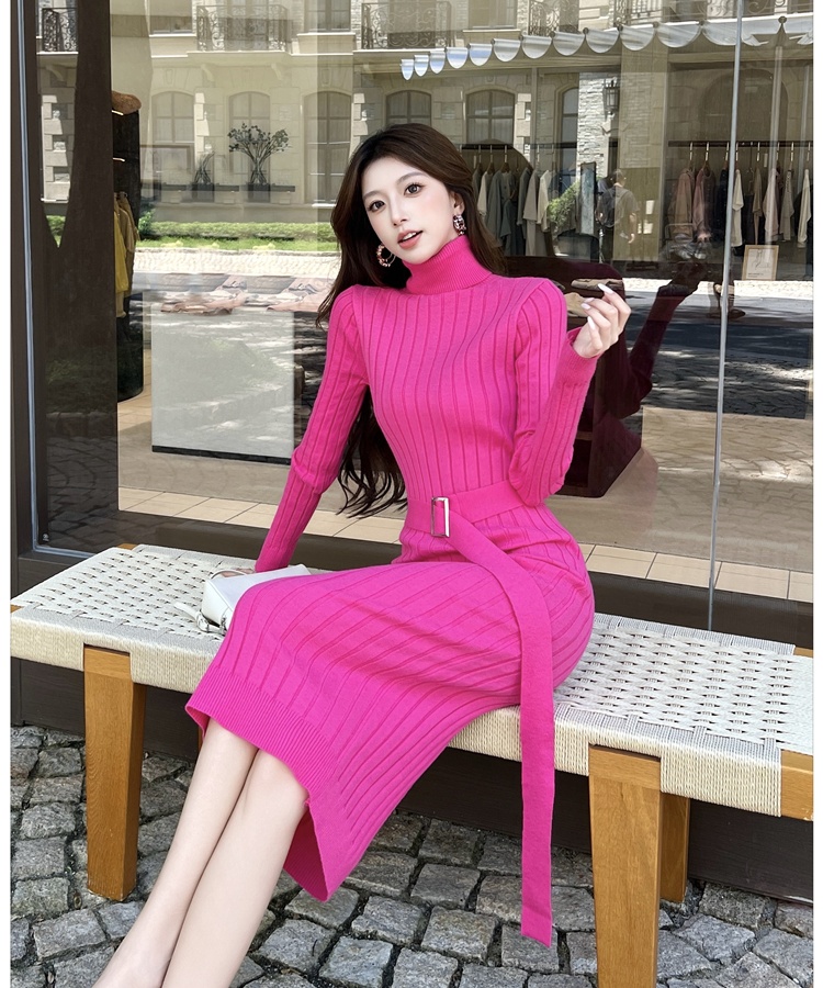 Inside the ride sweater high collar dress for women