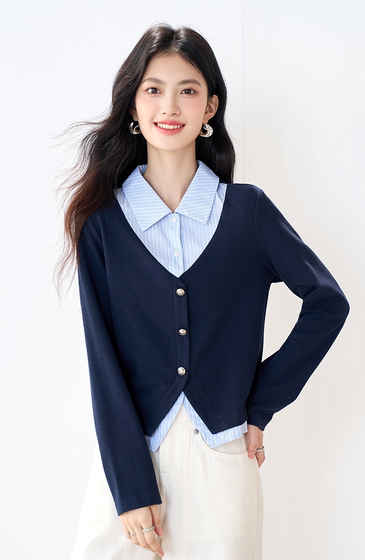 Stripe Pseudo-two hoodie college style tops for women