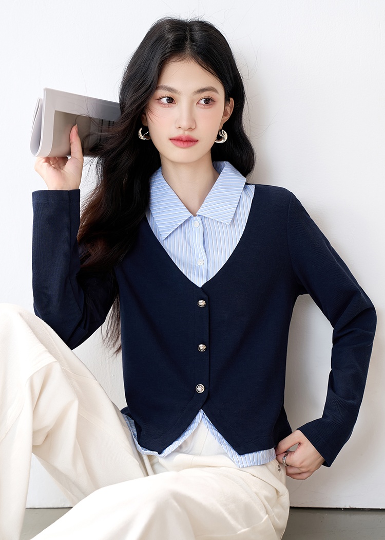 Stripe Pseudo-two hoodie college style tops for women