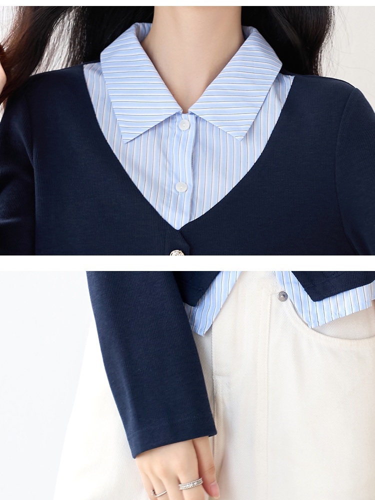 Stripe Pseudo-two hoodie college style tops for women