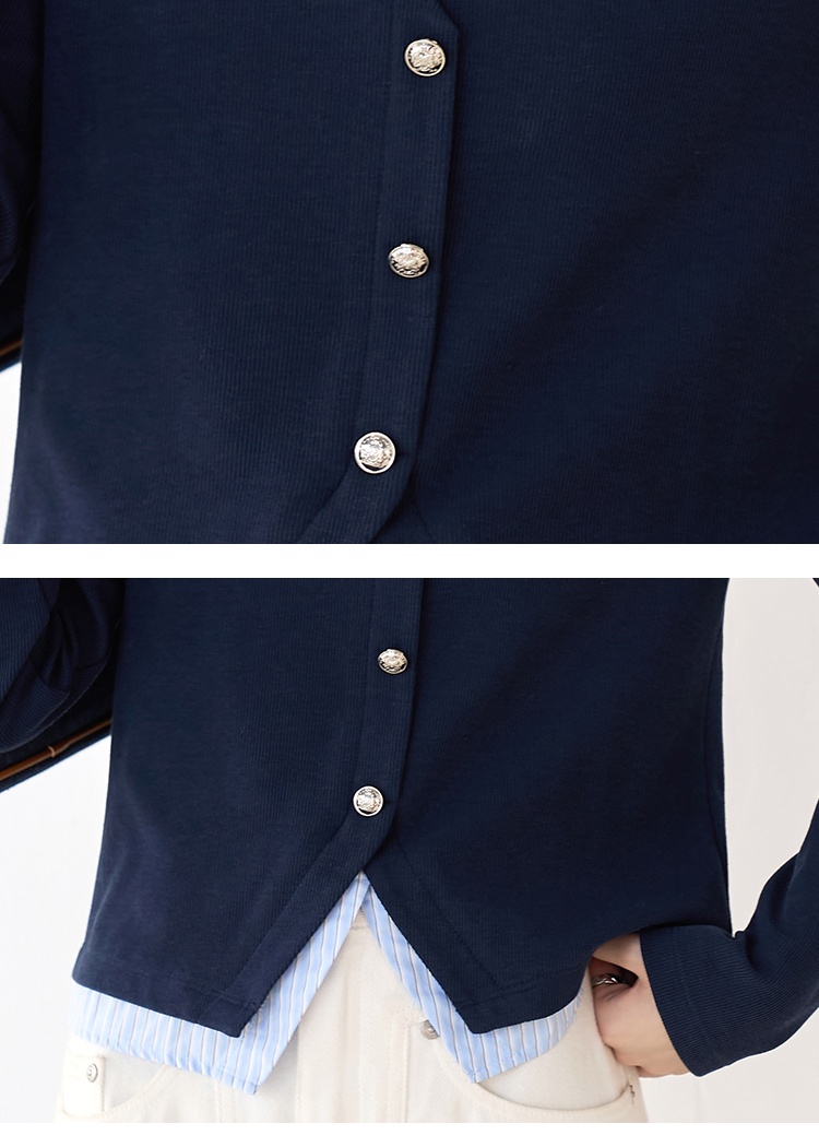 Stripe Pseudo-two hoodie college style tops for women
