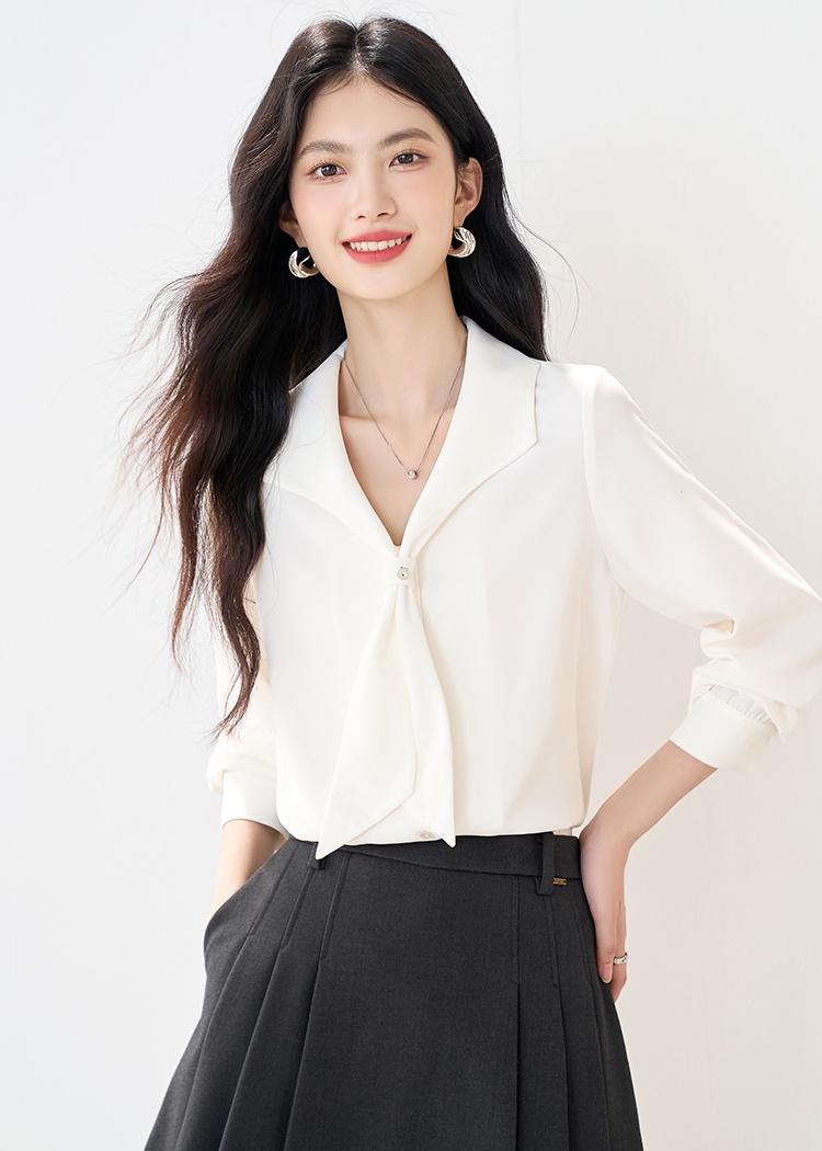 Commuting all-match small shirt autumn white shirt