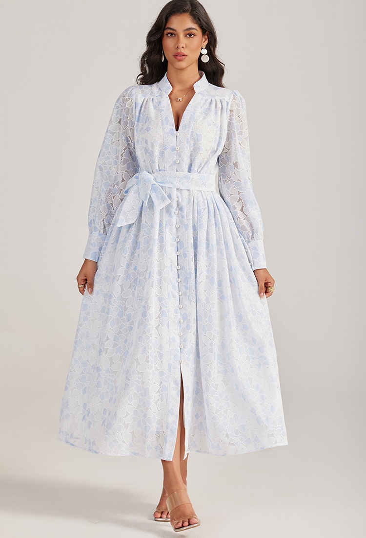 Pure single-breasted long dress lace long sleeve dress