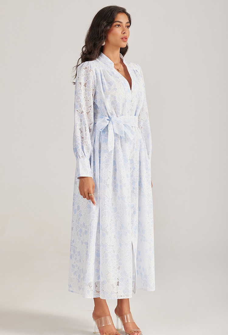 Pure single-breasted long dress lace long sleeve dress